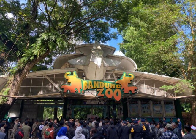 Empat Solusi Wali Kota Bagi Serikat Pekerja Bandung Zoo