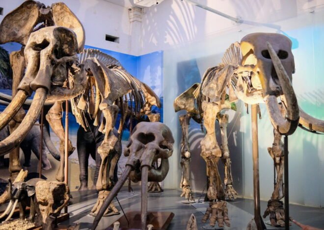 Versi Agoda Nobatkan Bandung Ketiga Besar Destinasi Wisata Asia