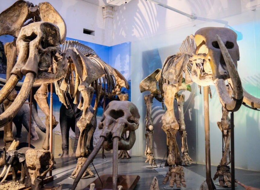 Versi Agoda Nobatkan Bandung Ketiga Besar Destinasi Wisata Asia