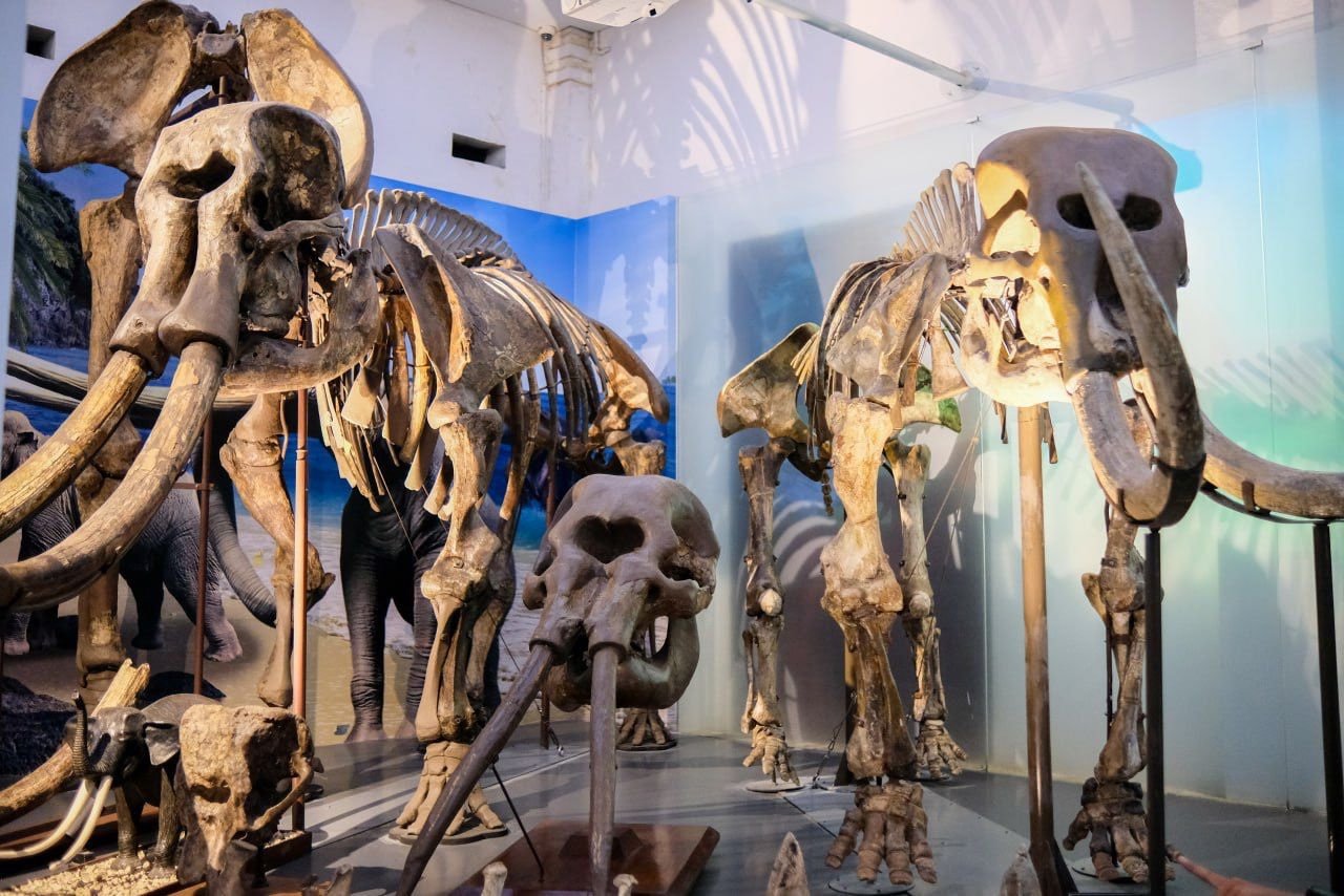 Versi Agoda Nobatkan Bandung Ketiga Besar Destinasi Wisata Asia