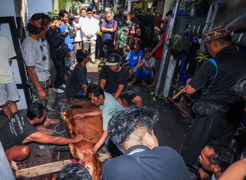 Gencarkan Kebersamaan dan Gotong Royong Warga,  Wali Kota Bandung Berkurban di Cicadas