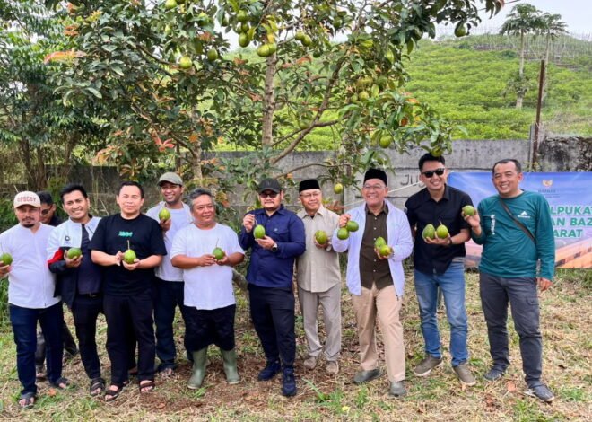 Baznas Jabar Dukung Pembiayaan Operasional Kebun Alpukat Hingga Panen Raya