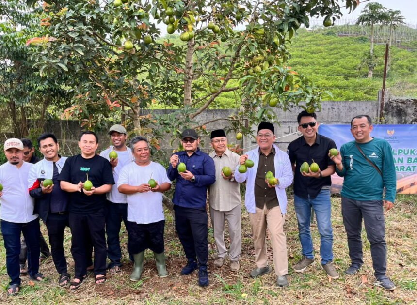 Baznas Jabar Dukung Pembiayaan Operasional Kebun Alpukat Hingga Panen Raya